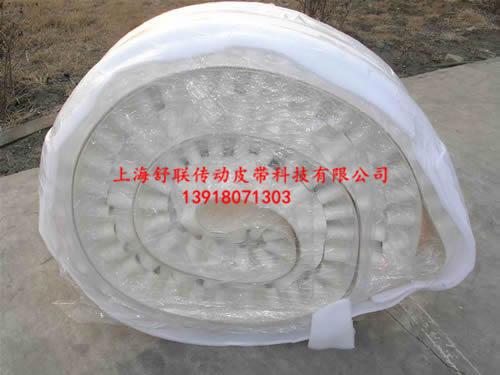 塑料機械輸送帶，食品輸送帶