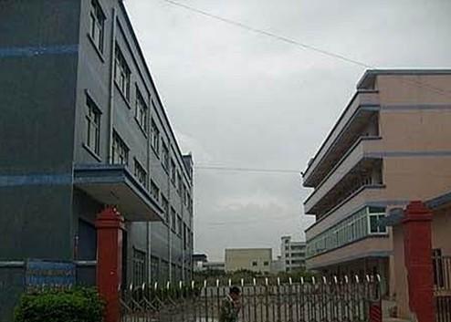 供應(yīng)工業(yè)發(fā)展：看黃江廠房獨(dú)領(lǐng)風(fēng)騷