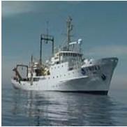 供應廣州到庫克群島水運散貨報價 廣州到庫克群島海運散貨