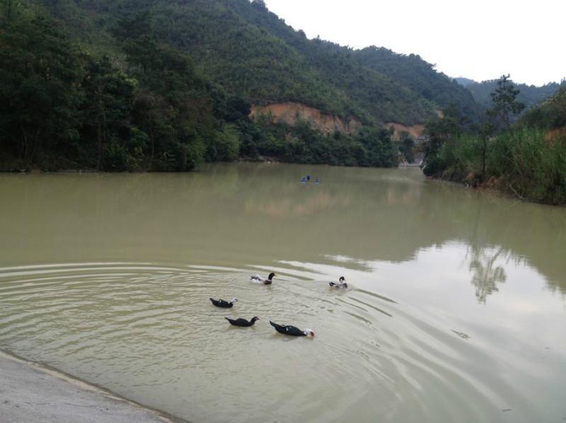 供應(yīng)五一旅游推薦動(dòng)感山溪綠色生態(tài)果莊