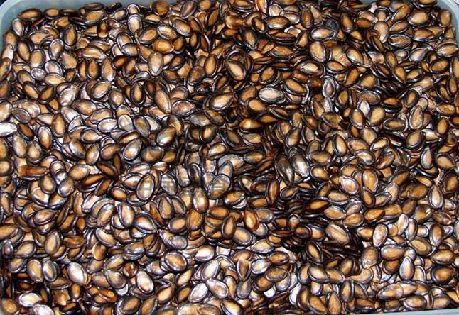 香酥仁西瓜子生產(chǎn)廠家圖片