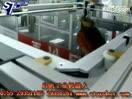 搬運機(jī)械手圖片/搬運機(jī)械手樣板圖 (2)
