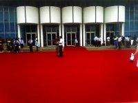 供應(yīng)平面地毯哪里有/山東華龍化纖有限公司