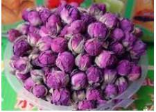 供應(yīng)銀杏葉羅布麻紅景天批發(fā)