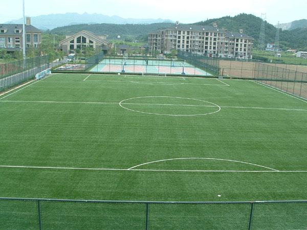 供應(yīng)石家莊老人門球場(chǎng)材料免費(fèi)施工