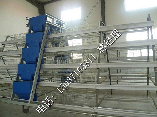 供應(yīng)雞籠5層階梯式上料機(jī) 階梯式蛋雞籠育雛籠肉雞籠養(yǎng)殖*籠具