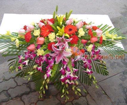 北京綠植花卉租賃花卉臨時租擺圖片