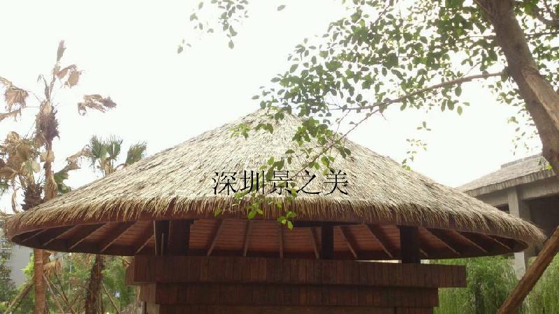大連仿真茅草優(yōu)質(zhì)產(chǎn)品深圳景之美工廠直銷