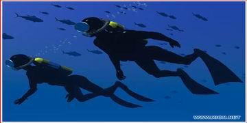 供應(yīng)水下測量水庫維修水下管道清理