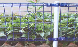 供應(yīng)青島市政隔離網(wǎng)防護(hù)網(wǎng)圍欄網(wǎng)護(hù)欄網(wǎng)