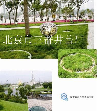 綠化帶種植井蓋，綠化草盆井蓋，綠化帶草坪井蓋