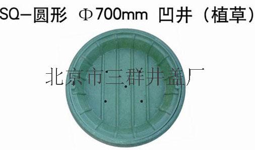 供應(yīng)三群綠化種草井蓋 種草凹形井蓋 井蓋生產(chǎn)廠家