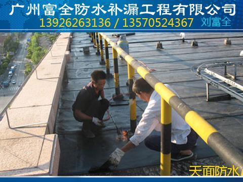 供應(yīng)廣州市花都區(qū)雅瑤鎮(zhèn)天面防水補(bǔ)漏