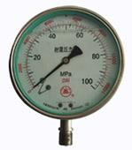 不銹鋼耐震壓力表結(jié)構(gòu)圖圖片