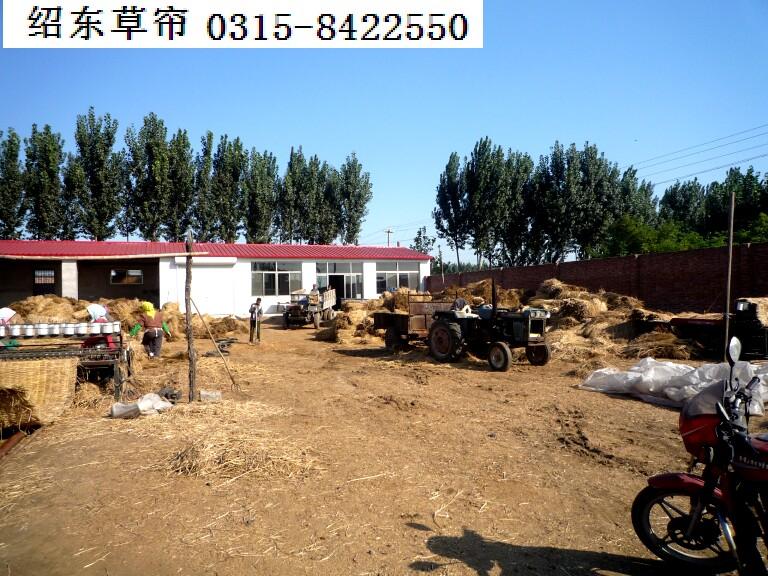 供應唐山阻燃草簾被供應