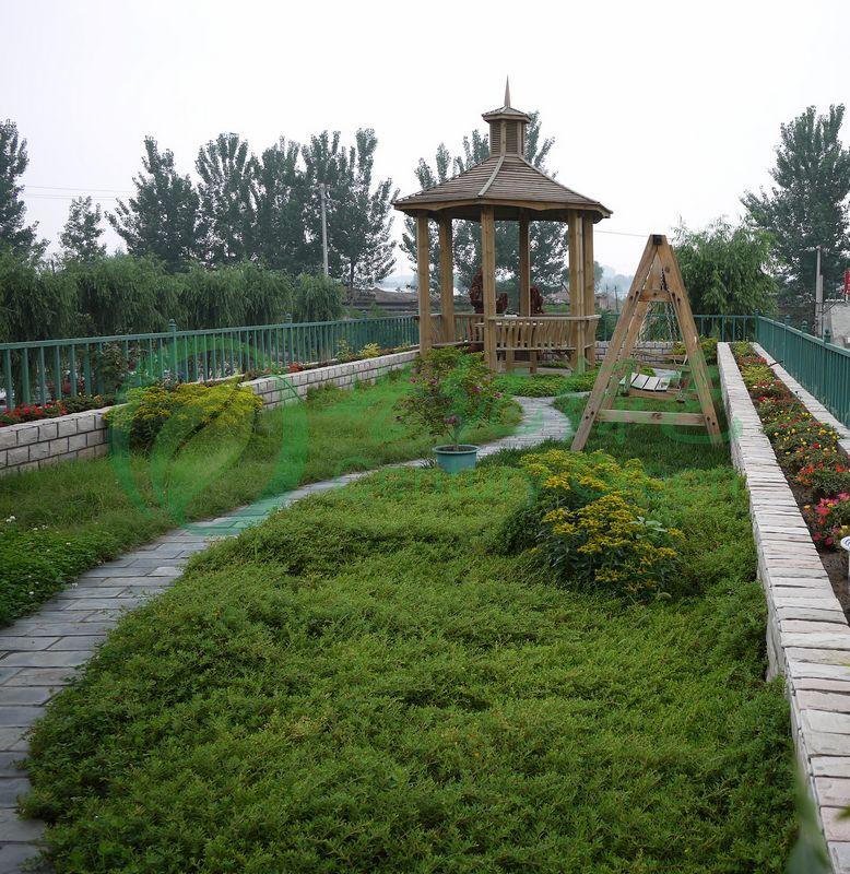 供應(yīng)椰毯  環(huán)保椰絲植被毯  椰絲毯價(jià)格  椰絲植被毯