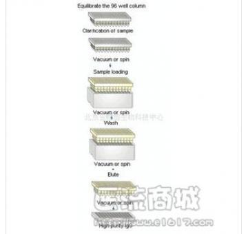 医流商城成都办供应96高通量抗体纯化试剂盒图片