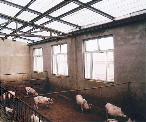 供應(yīng)雙層保溫膜 甘肅蘭州武威民勤天祝雙層保溫膜 PE雙層保溫膜