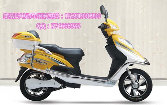 風(fēng)尚電動(dòng)車圖片