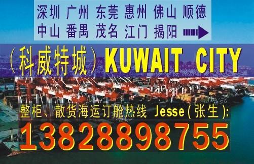 供应深圳东莞广州到科威特城KUWAIT CITY的国际海运代理公司