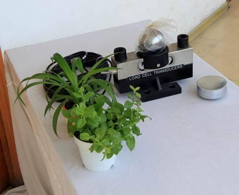 供應廣州維修地磅-200噸電子地磅