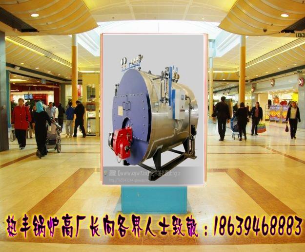 供應(yīng)河南加油鍋爐價(jià)格