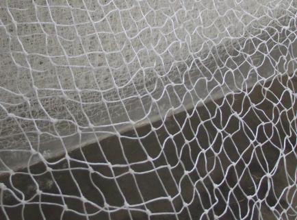 供應(yīng)專業(yè)玉米芯袋