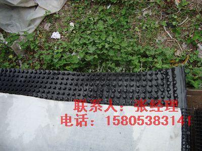 供應(yīng)壽光車庫排水板塑料排水板車庫屋頂綠化*