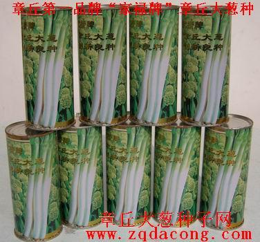 大蔥種植技術(shù) 大蔥的種植 怎樣種蔥 如何種蔥 大蔥 章丘大蔥協(xié)會