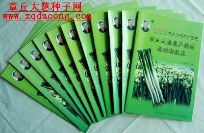大蔥種植技術(shù) 大蔥的種植 怎樣種蔥 如何種蔥 大蔥 章丘大蔥協(xié)會