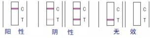 瘦肉精-沙丁胺醇速测卡5片装图片