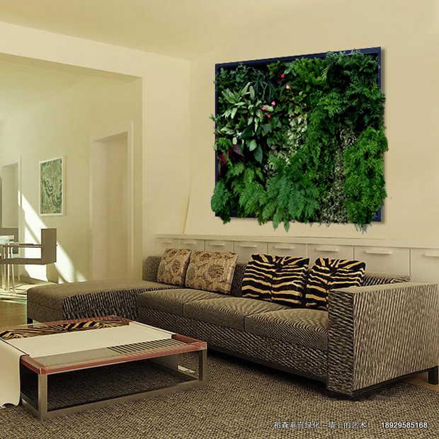 稻森植物墻無土垂直綠化倡導者