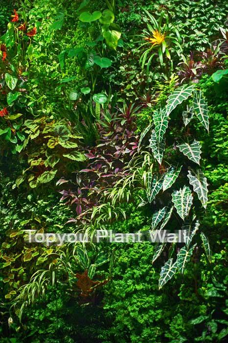 可移動(dòng)式植物墻為你辦公室增添綠色