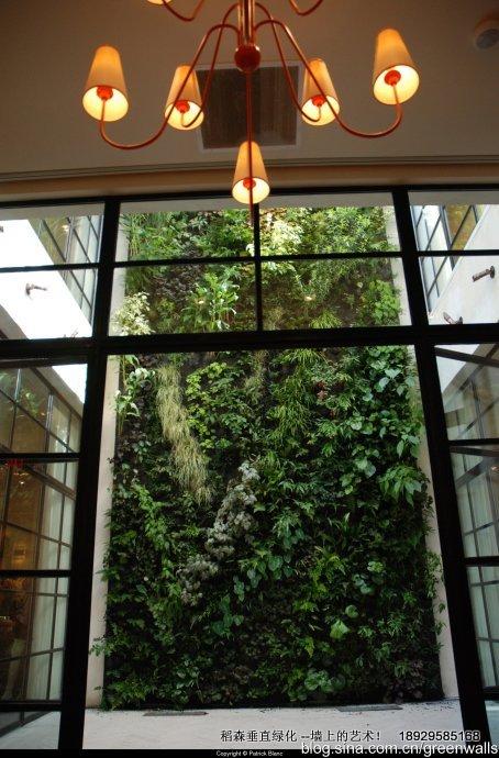 稻森綠墻-創(chuàng)造新的城市叢林