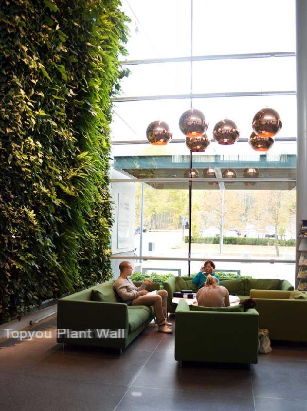 垂直綠化植物墻在云南昆明