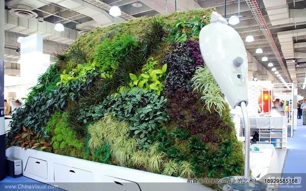 香港綠牆與廣州稻森綠墻