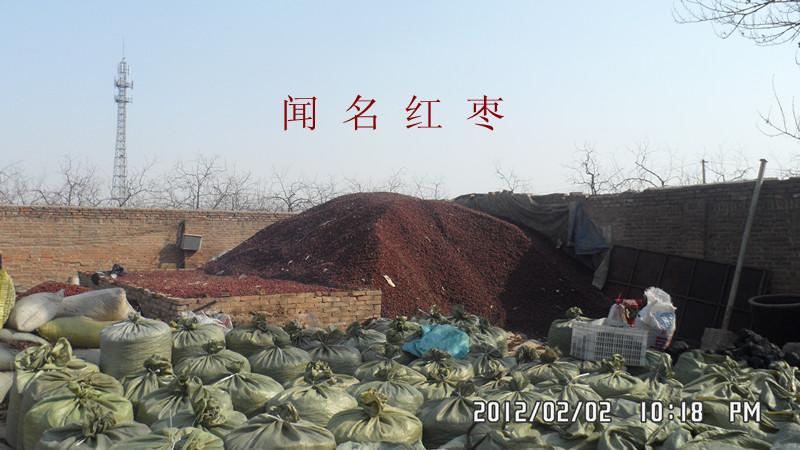 飼料用棗圖片/飼料用棗樣板圖 (4)