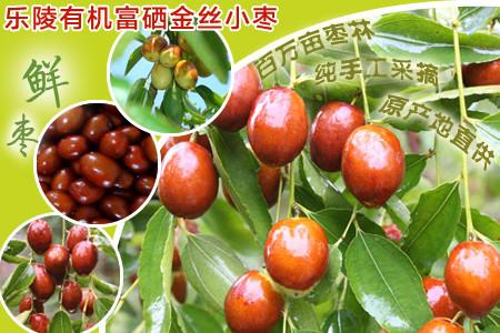 供應(yīng)富硒金絲小棗禮品棗