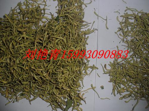 供應(yīng)產(chǎn)地金銀花種苗價(jià)格