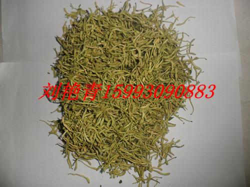 供應金銀花收購價