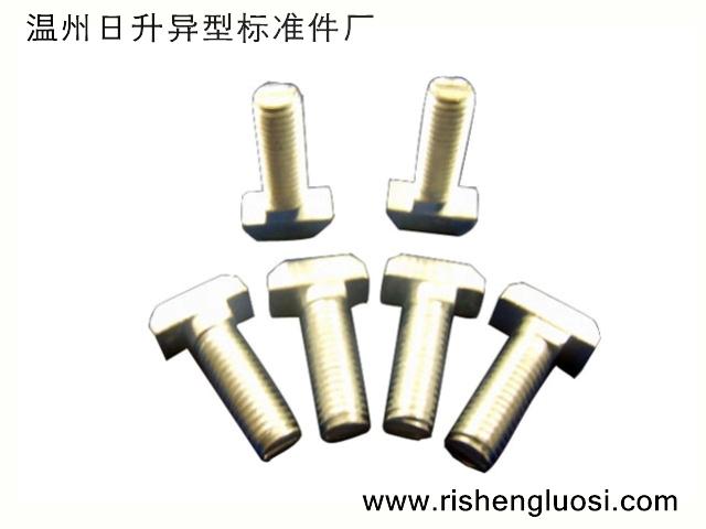 供應(yīng)非標(biāo)T型螺絲