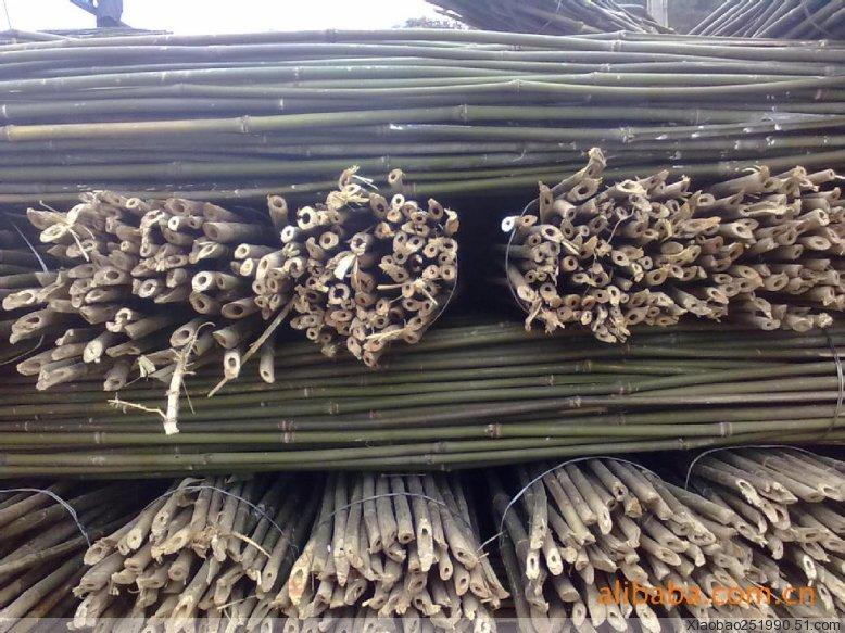 供應(yīng)長(zhǎng)沙竹架子供貨商竹架子價(jià)錢,長(zhǎng)沙竹架子批發(fā)商長(zhǎng)沙竹架子報(bào)價(jià)