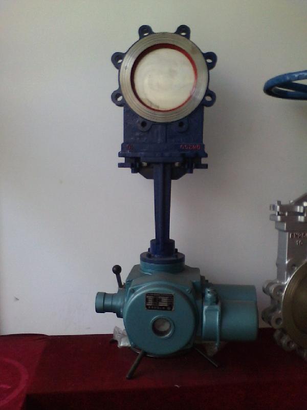 刀型閘閥圖片/刀型閘閥樣板圖 (2)