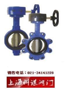 以色列DOROT多若特蝶閥圖片