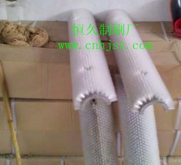 供應(yīng)蘿卜清洗機(jī)毛刷輥