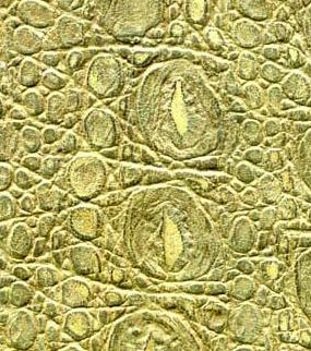 廣東花輥報(bào)價(jià)圖片