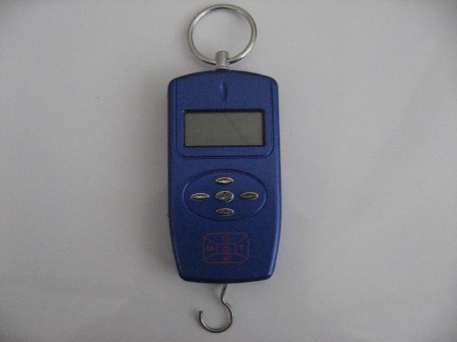 供應(yīng)上海青浦太陽(yáng)能電子計(jì)價(jià)小吊秤