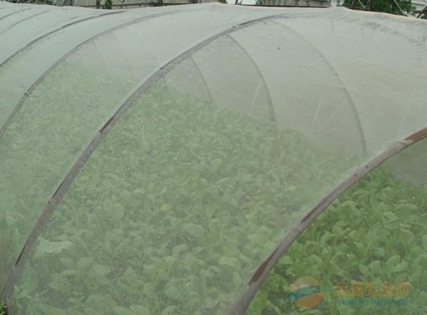 供應(yīng)#那里有生產(chǎn)防蟲網(wǎng)最多的廠家#安平浩成篩網(wǎng)#安平防蟲網(wǎng)那里是