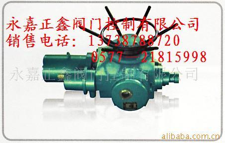 常州蘭陵電動裝置圖片