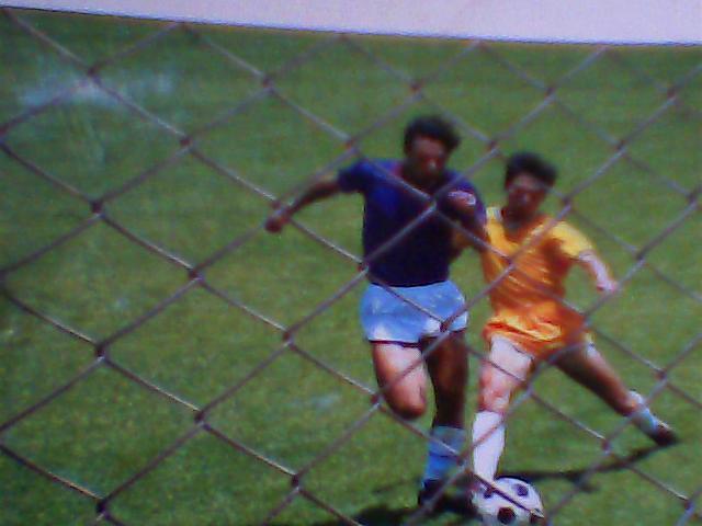 供應福建省福州市斜方、網六角網8福建省福州市斜方網六角網8